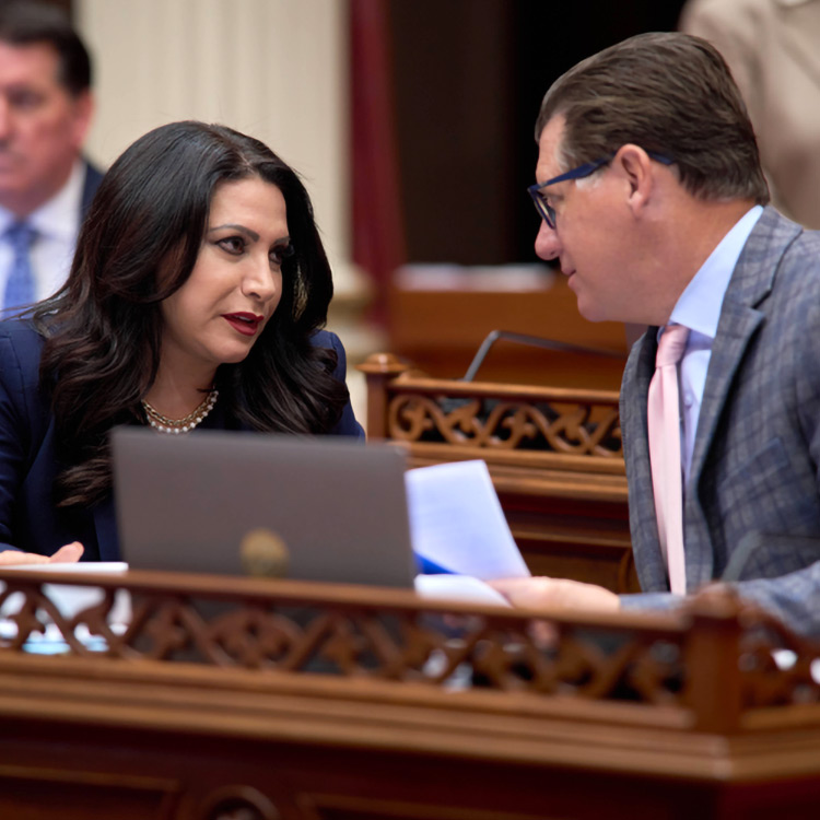 Senator Susan Rubio speaks with Senate Minority Leader Brian Jones at their desks on the floor of the California State Senate