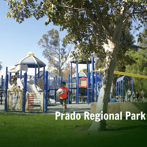 Playground equipment at Prado Regional Park. Shows a boy running from the jungle gym toward trees